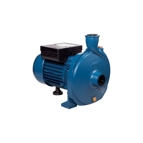 CWP - 753