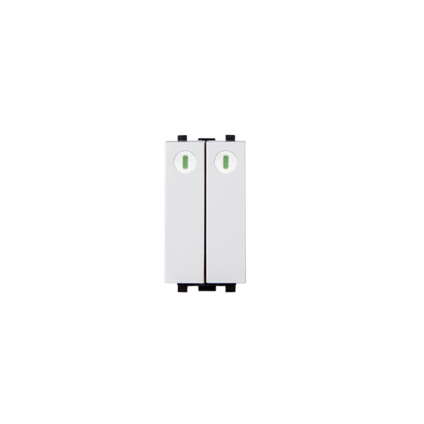 Công tắc kép cỡ nhỏ 1 chiều có dạ quang - S668C/S/2FS